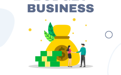 IT BUDGET: The Small Business Owner’s Guide to Budgeting for Technology