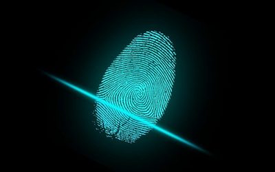 Top Mistakes That Make You A Prime Target For Identity Theft