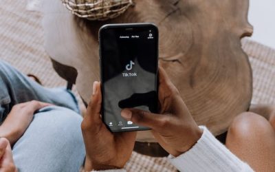 Understanding the Vulnerabilities of Social Media Platforms: A Cautionary Tale